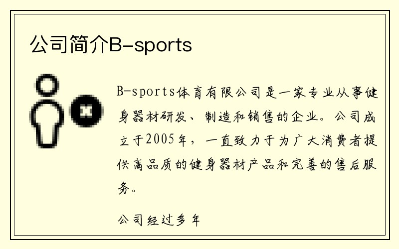 公司简介B-sports
